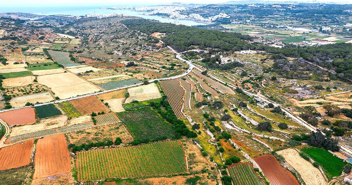 No farewell to Malta