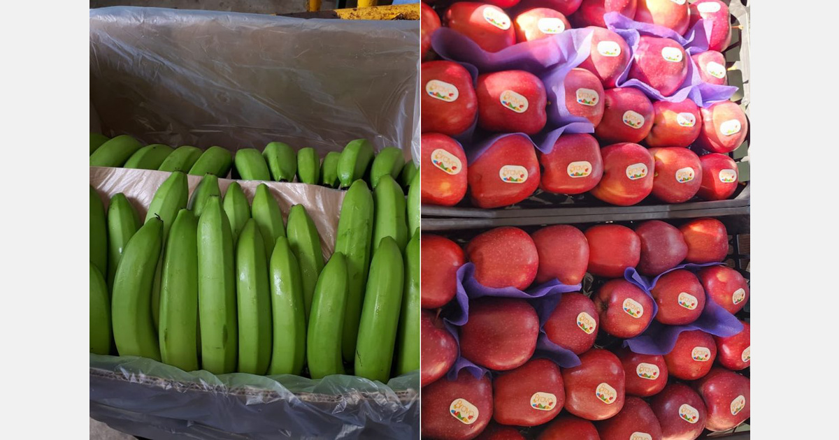 Fresh produce imports stagnate in Libya